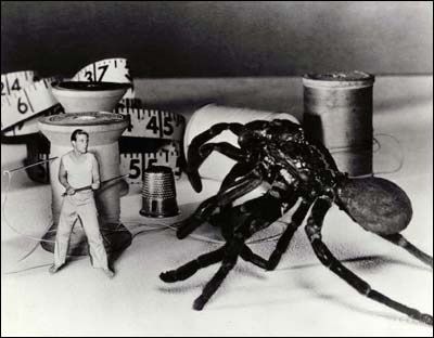 The-Incredible-Shrinking-Man-image